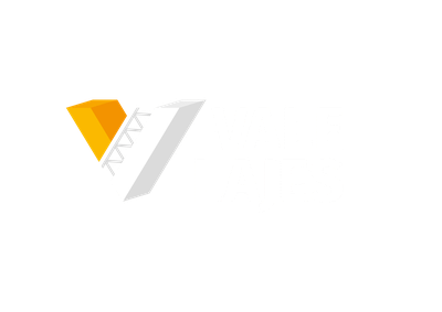 Vale Lajes